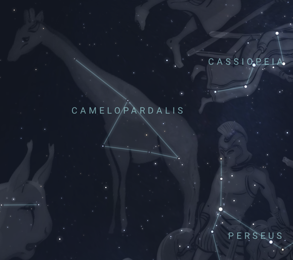 Camelopardalis