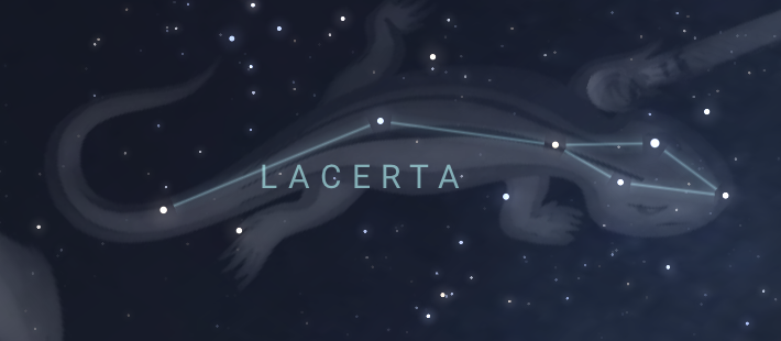 Lacerta