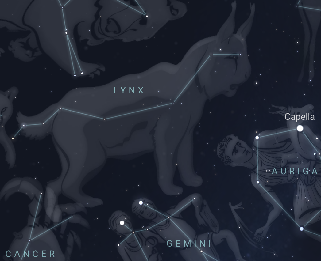 Lynx